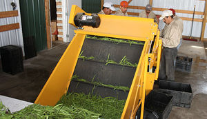 vegetable conveyor