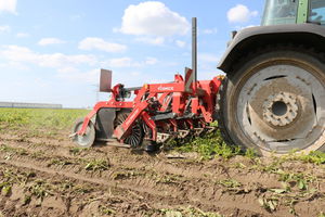 potatoes haulm topper