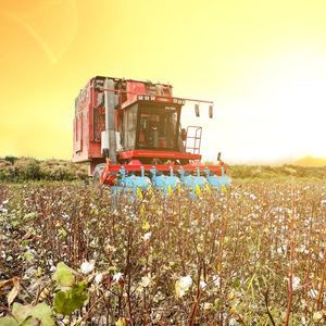 spindle picker cotton picker