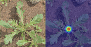 vision system