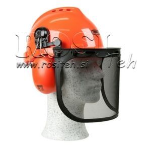 forestry helmet