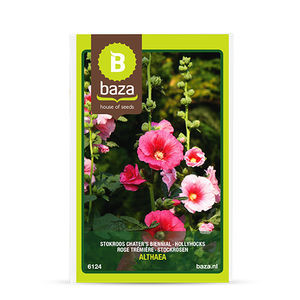 annual floral seeds