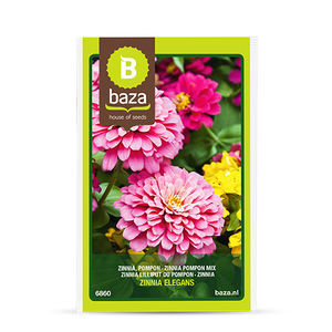 annual floral seeds