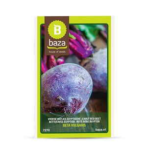 edible beet seeds