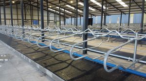 adjustable-width cow cubicle