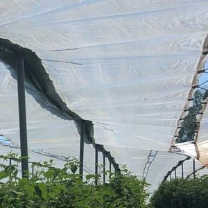 greenhouse protective cover