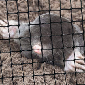 anti-mole netting