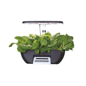 automated hydroponic system