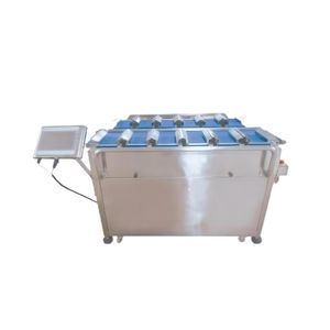 vegetable batch weigher