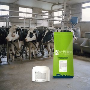 animal feed supplement