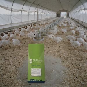 animal feed supplement