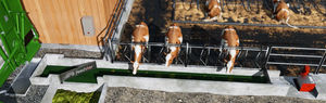 belt feeding system