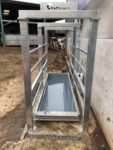 footbath for livestock buildings