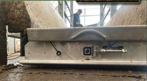 hoof health monitoring system