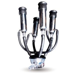 cows milking cluster