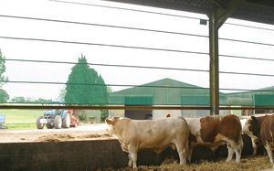 windbreak barrier
