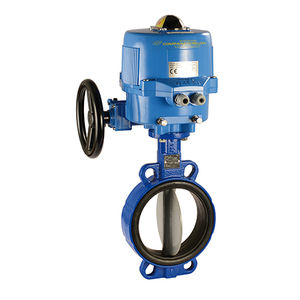 butterfly valve