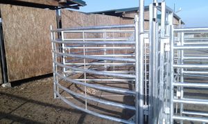 cattle loadout 1