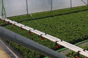 greenhouse irrigation booms