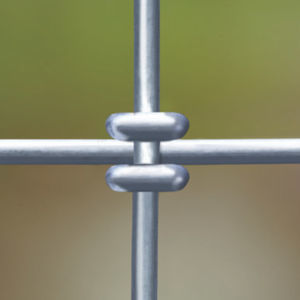 sheep wire fence