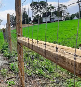 protection wire fence