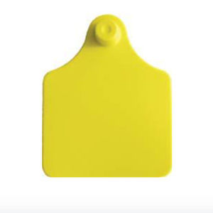 cattle ear tag