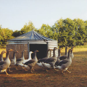 livestock shelter