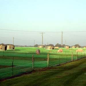 pig netting