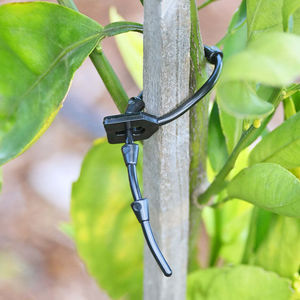 plant tie