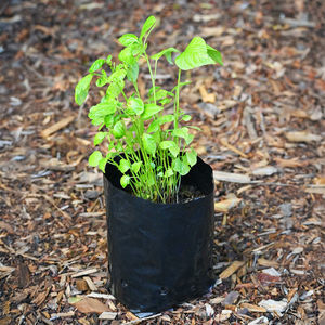planting bag 1