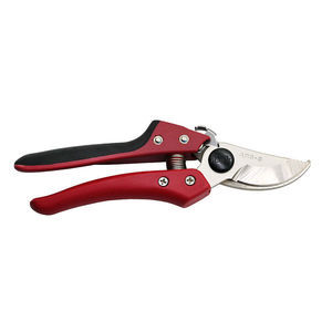 manual pruning shears 1
