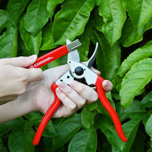grafting knife 1