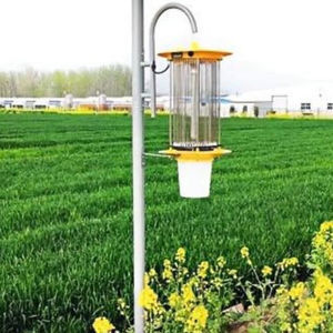 greenhouse light trap
