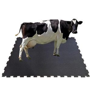 rubber floor mat