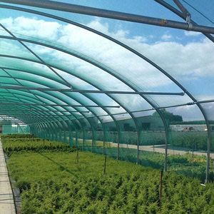 tunnel type greenhouse