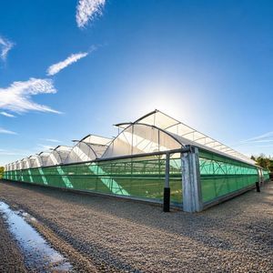 multi span greenhouse