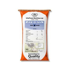 animal feed supplement