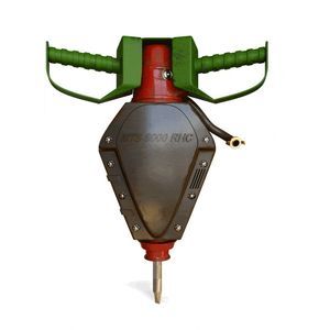 sugar beet seed