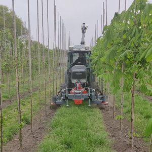 mechanical weeder