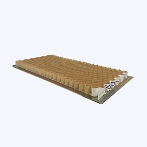 paper plug tray