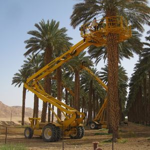 harvesting aerial platform 1