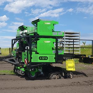 vegetable transplanter 1