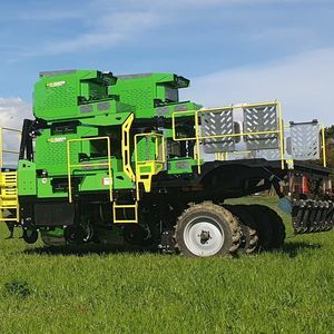 vegetable transplanter 1