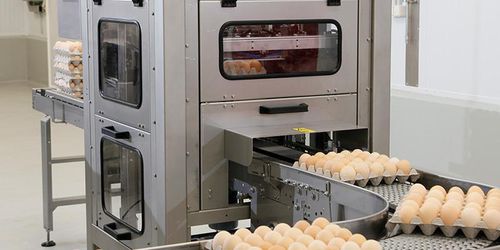 Tray destacker - Pas Reform Hatchery Technologies - automatic