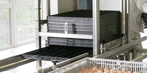 Transport setter tray - Pas Reform Hatchery Technologies - for chicken eggs / plastic