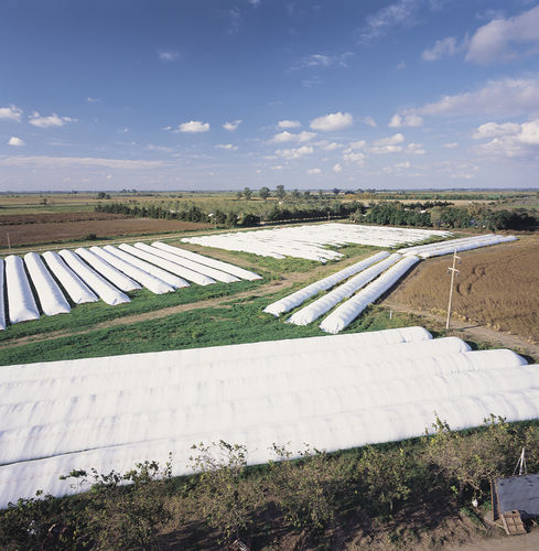 Grain silo bag - Silo bag - CPS Agri Limited – CROP PROTECTION SOLUTIONS.