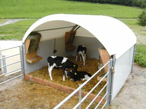 Calf igloo - AGROTEL GmbH - livestock / group / stainless steel