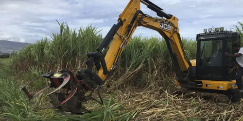 Sugar cane harvesting machine - Solar FM5 - COUP'ECO - tractor-mounted