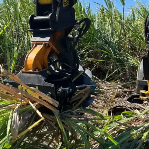 Sugar cane harvesting machine - Solar XV5 - COUP'ECO - 1-row