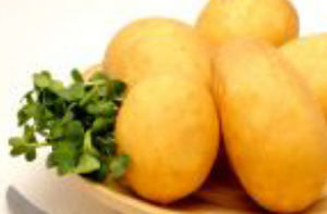 Medium early potato seed - Georgina - EUROPLANT Pflanzenzucht GmbH - edible / long / common scab resistant
